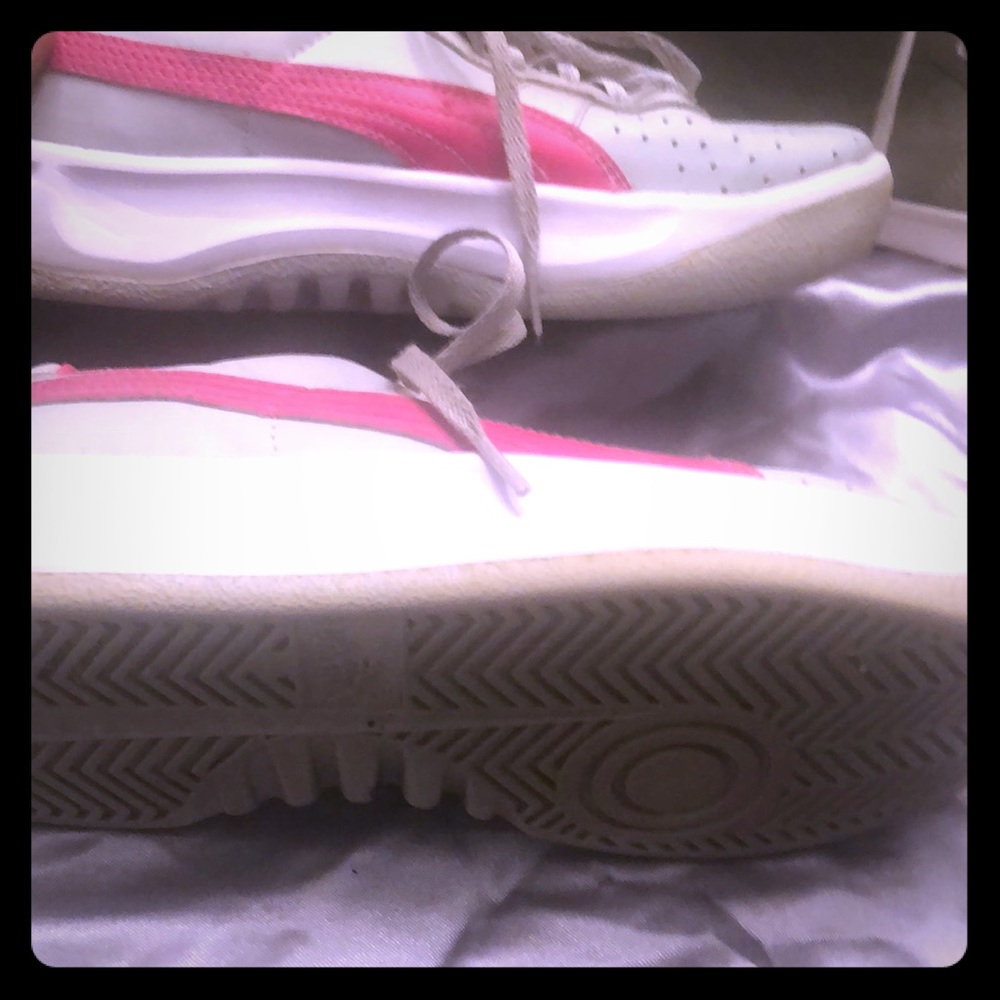 Puma gv